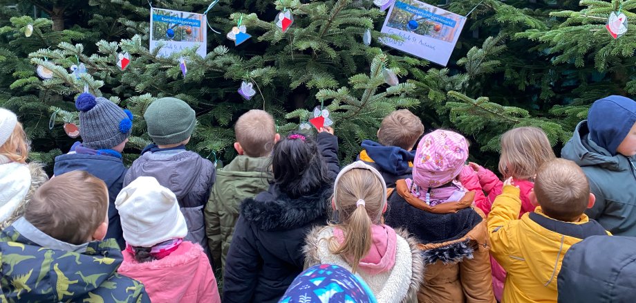 Kinder stehen vor Tannenbäumen und schmücken diese.