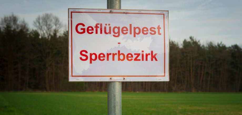 Sperrzone Geflügelpest